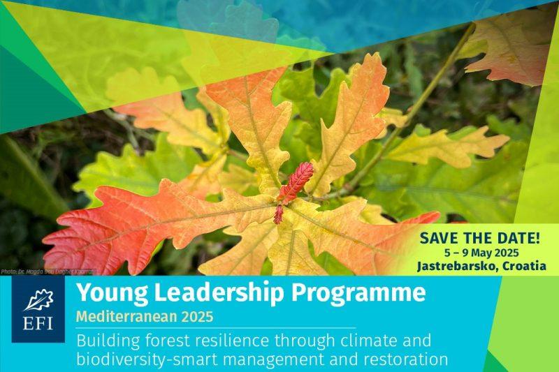 EFI Young Leadership Programme – Mediterranean 2025 (YLPMED 2025)