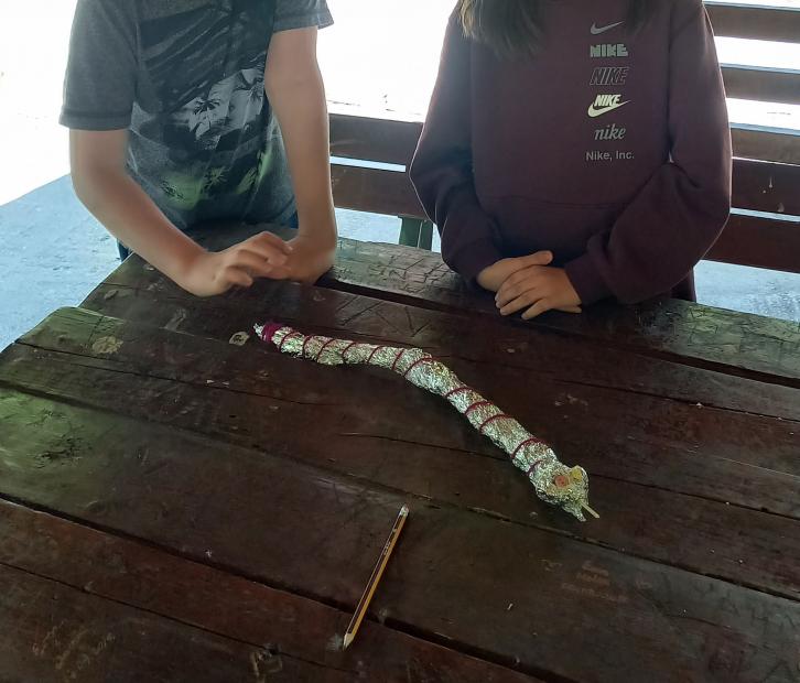 Studentica Dženeta Bašić četvrte godine Nastavničkog odsjeka Akademije likovnih umjetnosti UNSA realizirala je likovnu aktivnost "Eksperimentiranje materijalima kroz tehniku asamblaža - izrada trodimenzionalnog prikaza egzotične životinje"