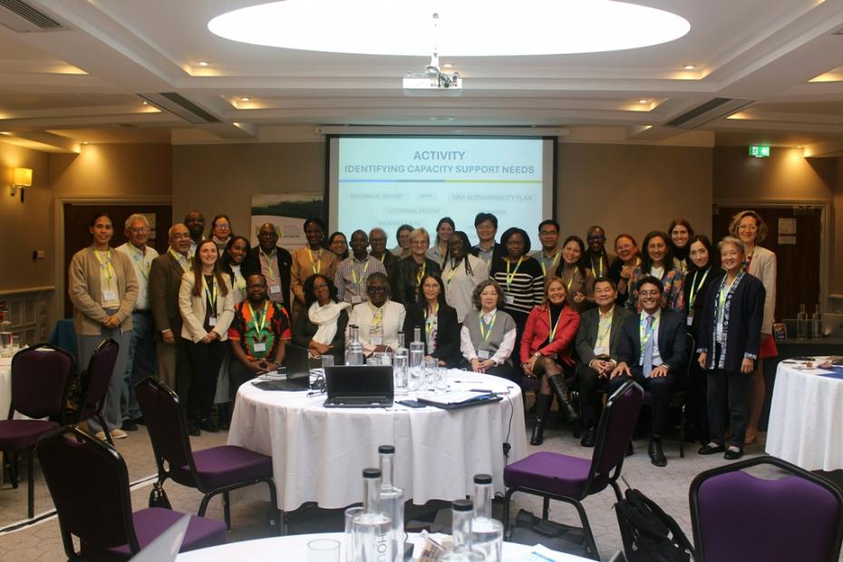 Predstavnice Univerziteta u Sarajevu učestvovale na Globalnoj radionici Inicijative za nacionalne procjene ekosistema