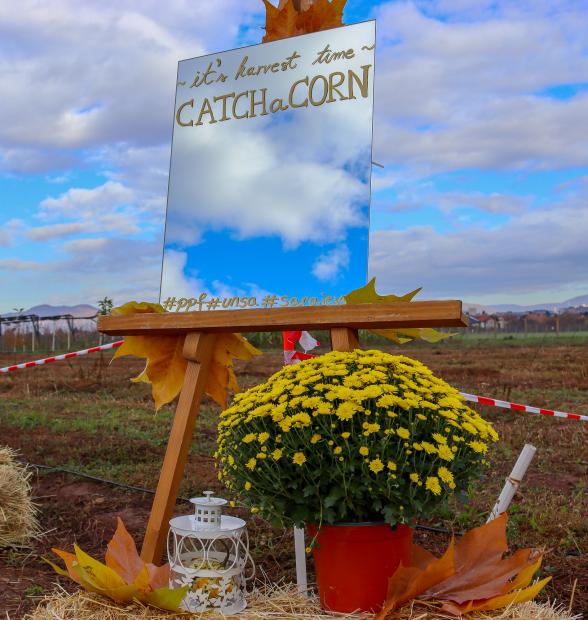 Catch a Corn IV: Poljoprivreda kroz timski duh