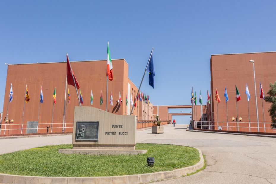 EUPeace Conference 2026: Global warming and its impact: Connections with emerging conflicts, migrations, and health issues
