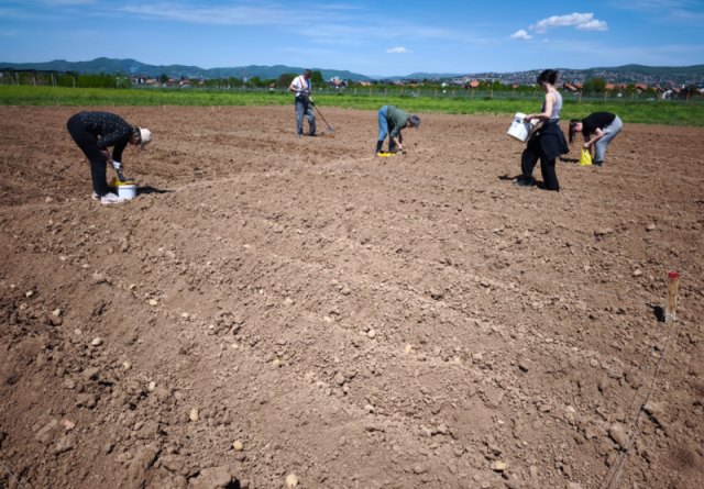 Početak međunarodnog istraživačkog projekta: “Studying the Effects of TSPplus Products on Crop Production” u Bosni i Hercegovini