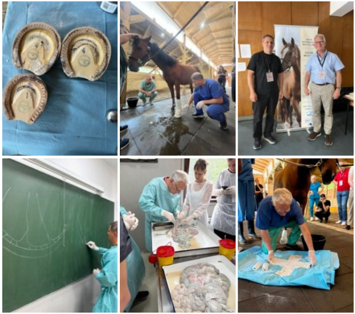 WEVA Intermediate Meeting 2026 uspješno održan na Veterinarskom fakultetu UNSA