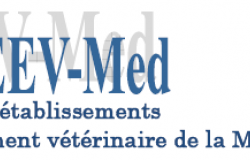 Deveta generalna skupština Asocijacije veterinarskih fakulteta država Mediterana (REEV MeD) suorganizirana je od strane Veterinarskog fakulteta Univerziteta u Sarajevu