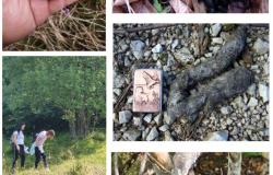 Projekat „Istraživanje parazitarnih oboljenja divljači na području Federacije Bosne i Hercegovine sa ciljem očuvanja i unaprjeđenja biodiverziteta“