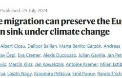 Klimatske promjene prijete ponoru ugljika u europskim šumama, ali potpomognuta migracija nudi nadu
