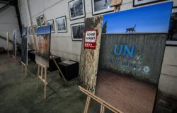 Memorijalni centar Srebrenica, u saradnji sa Akademijom likovnih umjetnosti UNSA, organizovali Prvi Saziv umjetničke kolonije Srebrenica – Potočari 2025