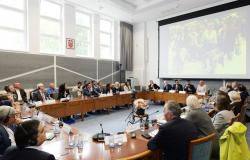 U Hrvatskom saboru održan okrugli stol povodom 30. godišnjice genocida u Srebrenici | Učestvovao direktor Instituta za istraživanje zločina protiv čovječnosti i međunarodnog prava UNSA