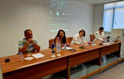 Održan naučni skup „Srebrenica - 30 godina od genocida: kontinuitet zločina, negiranja i nestali”