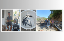 Institut za genetičko inženjerstvo i biotehnologiju UNSA | Projekat „Zelena proizvodnja autohtone mekousne pastrmke (Salmo obtusirostris) na bazi genetičkih markera”