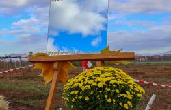 Catch a Corn IV: Poljoprivreda kroz timski duh