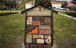 Hotel za kukce – oaza života u Kampusu Univerziteta u Sarajevu! Posjetite nas!