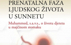 Nova knjiga doc. dr. Fadilja Maljokija: Prenatalna faza ljudskog života u sunnetu