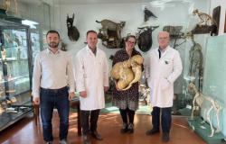 Posjeta prof. dr. Valentine Kubale Dvojmoč Veterinarskom fakultetu UNSA