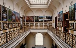 Poziv za predaju radova za Glasnik Zemaljskog muzeja Bosne i Hercegovine – sveska za Prirodne nauke, broj 42