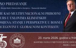 Šume kao multifunkcionalni prirodni resurs u uslovima klimatskih promjena: stanje i perspektive u Bosni i Hercegovini u globalnom kontekstu