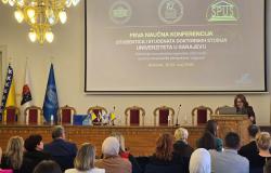 Refleksije bosanskohercegovačke državnosti: naučno-istraživačke perspektive i odgovori