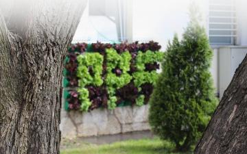 Riječ dekana povodom obilježavanja 86. godišnjice Poljoprivredno-prehrambenog fakulteta UNSA