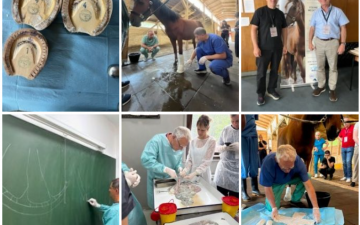 WEVA Intermediate Meeting 2026 uspješno održan na Veterinarskom fakultetu UNSA
