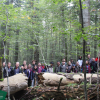 U skopu saradnje na projektu “liveScience3” Šumarski fakultet UNSA realizira aktivnost “Primeval and managed forests in Bosnia-Herzegovina”