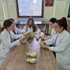 Veterinarski fakultet UNSA | Inovacije u nastavi anatomije