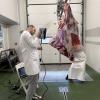 Veterinarski fakultet UNSA | Objavljen naučni članak: “Anatomy of Meat Cuts: Integrating 3D Scanning and Virtual Reality in Veterinary Education and Training”