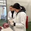 Veterinarski fakultet UNSA | Objavljen naučni članak: “Anatomy of Meat Cuts: Integrating 3D Scanning and Virtual Reality in Veterinary Education and Training”