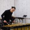 Održan koncert ansambla udaraljki PAMAS u okviru završne faze projekta "Primjena multipercussion aparata za ostvarenje projekata participativne prakse u savremenoj muzičkoj umjetnosti"