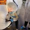 Veterinarski fakultet UNSA | U pogonima kompanije „BROVIS“ d.o.o. realizirana terenska nastava/vježbe studenata V godine