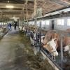 Potpisan Sporazum o nastavnoj, naučnoj i stručno-tehnološkoj saradnji između Veterinarskog fakulteta UNSA, JU Srednja poljoprivredna škola "Sanus Futurum" i Ministarstva obrazovanja, nauke, kulture i sporta Unsko-sanskog kantona