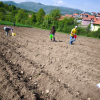 Početak međunarodnog istraživačkog projekta: “Studying the Effects of TSPplus Products on Crop Production” u Bosni i Hercegovini