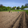 Početak međunarodnog istraživačkog projekta: “Studying the Effects of TSPplus Products on Crop Production” u Bosni i Hercegovini