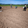 Početak međunarodnog istraživačkog projekta: “Studying the Effects of TSPplus Products on Crop Production” u Bosni i Hercegovini