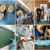 WEVA Intermediate Meeting 2026 uspješno održan na Veterinarskom fakultetu UNSA