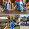 WEVA Intermediate Meeting 2026 uspješno održan na Veterinarskom fakultetu UNSA