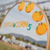 CATCHaCORN V: Pet godina timskog duha i poljoprivrednih izazova